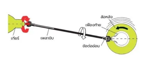 Profender การทำงานของเพลากลาง