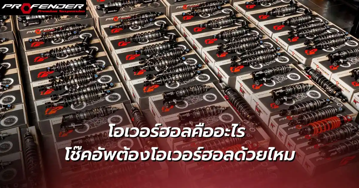 โอเวอร์ฮอล Profender